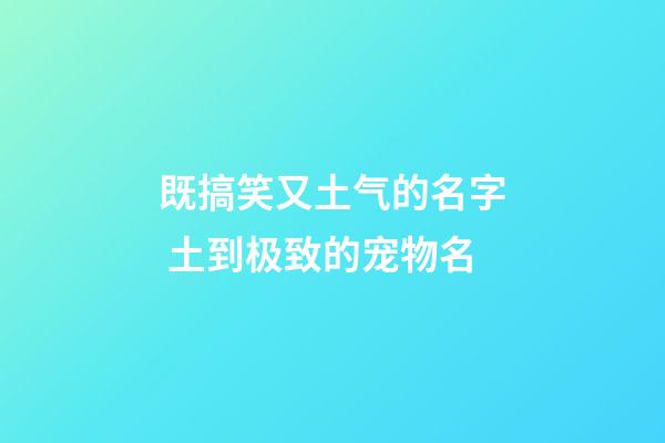 既搞笑又土气的名字 土到极致的宠物名